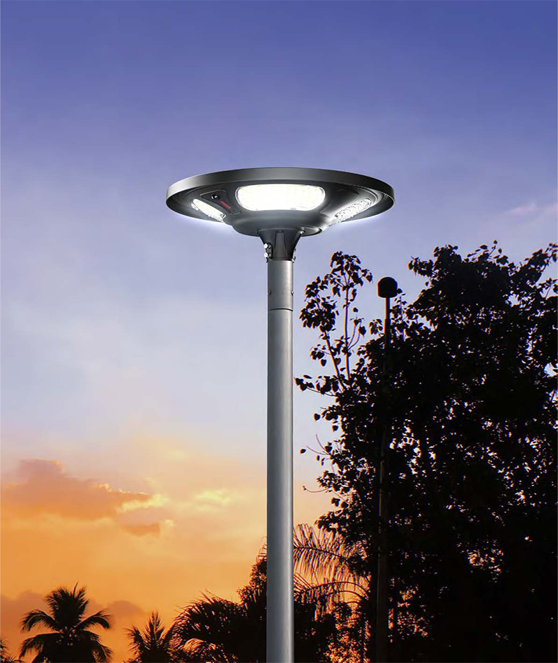 Luz solar de jardín