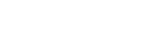custome logo